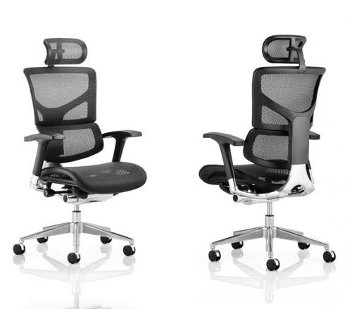 CAPITAL Mesh Seat & Back Executive Chair