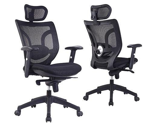 EDEN Mesh Back Executive Chair
