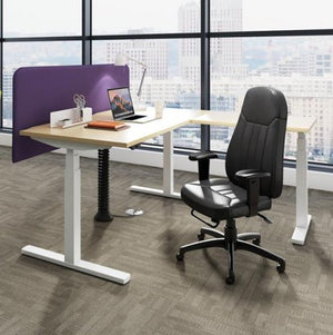 ELEVATE Electric Height Adjustable Desk