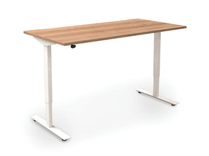 Freedom Lite Rectangular Electric Sit/Stand Desk