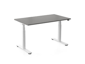 Freedom X Electric Sit/Stand Rectangular Desk