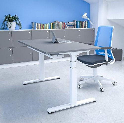 Freedom X Electric Sit/Stand Rectangular Desk