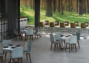 BJORN Cafe Chair